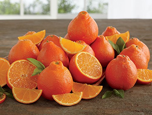 Honeybells (Tangelos)